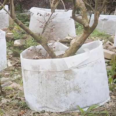 কাস্টমাইজ হট সেলিং অ বোনা ফ্যাব্রিক বায়োডিগ্রেডেবল প্ল্যান্ট ব্যাগ ব্রেসেবল ফ্লেট ট্রি গ্রো ব্যাগ হ্যান্ডেল সহ বড় নার্সারি ব্যাগ